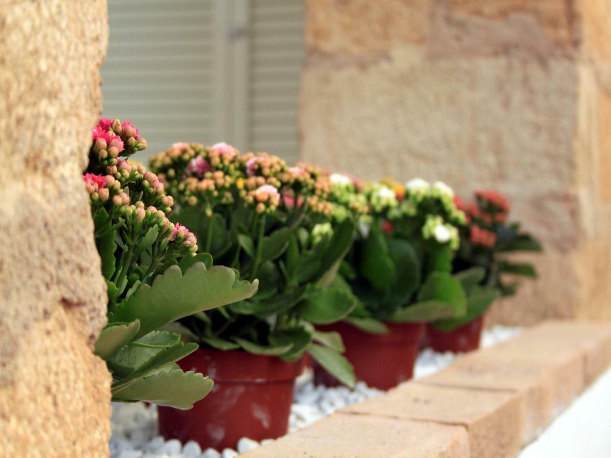 Catogno Apartment Alghero